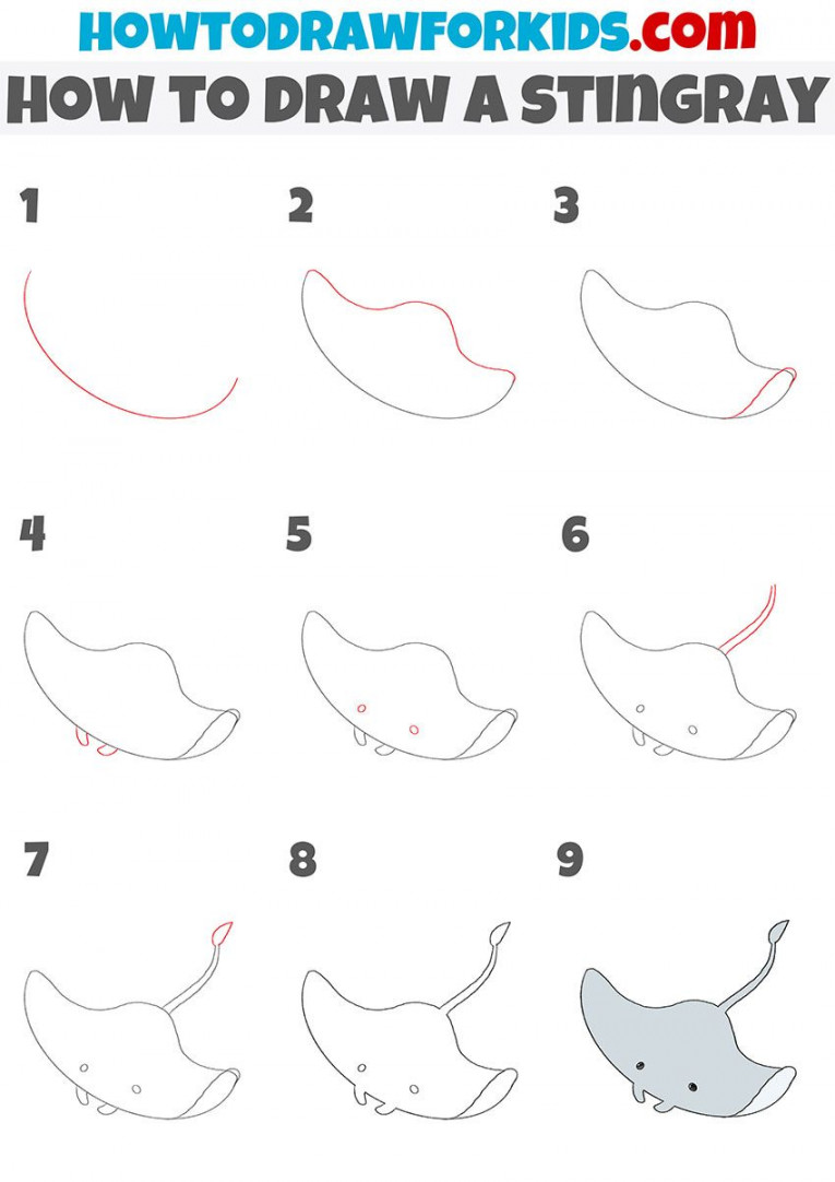 how to draw a stingray step by step  Easy drawings for beginners