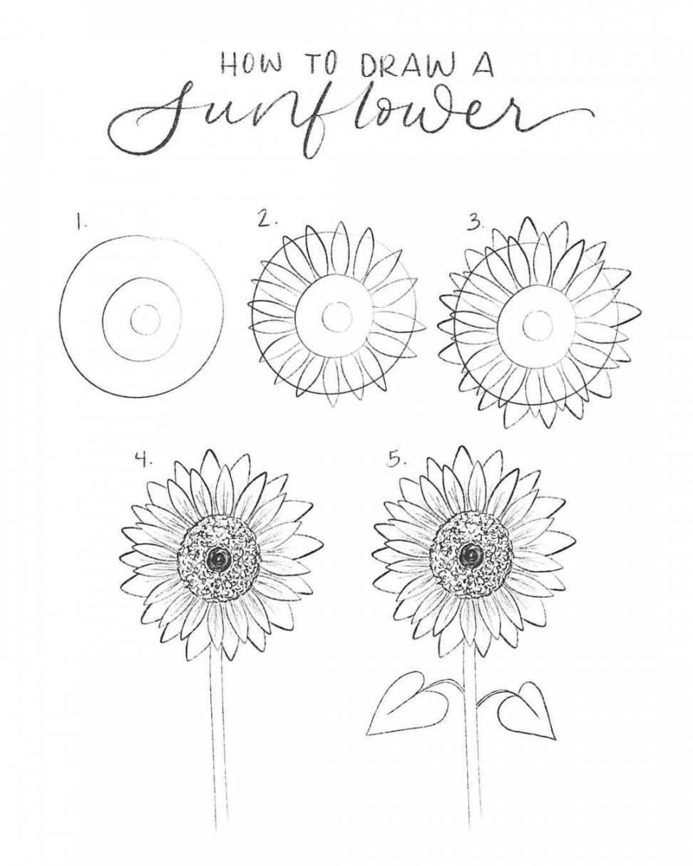 How to draw a sunflower in  easy steps: