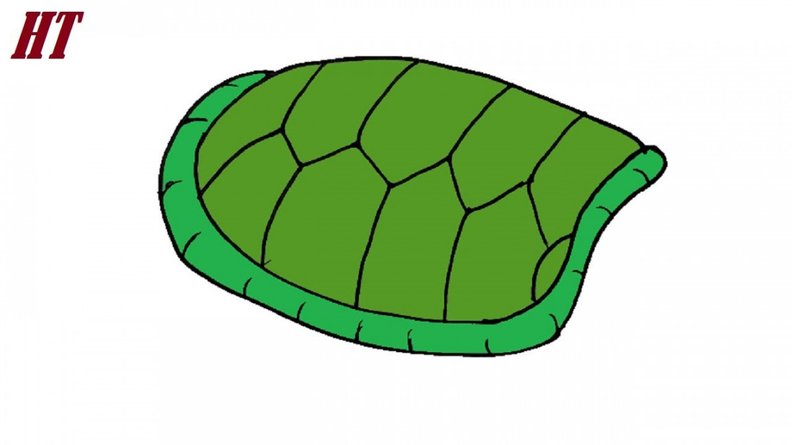 How to Draw a Turtle Shell Easy