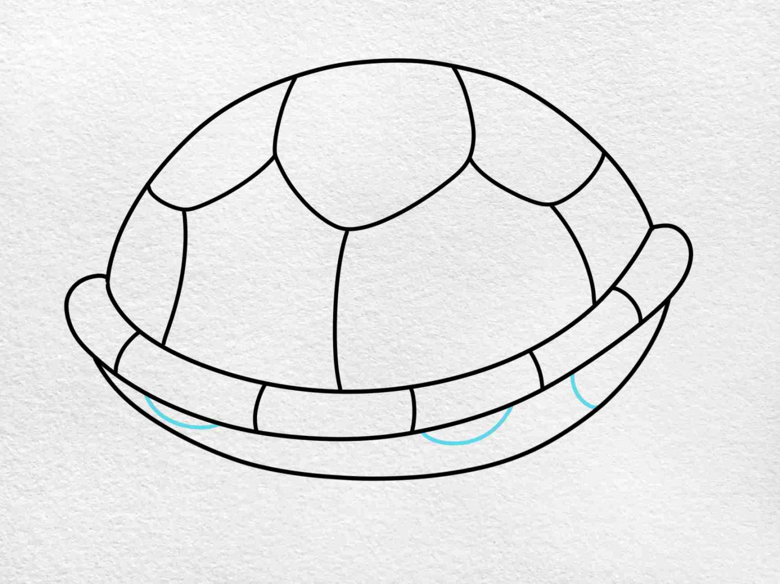 How to Draw a Turtle Shell - HelloArtsy