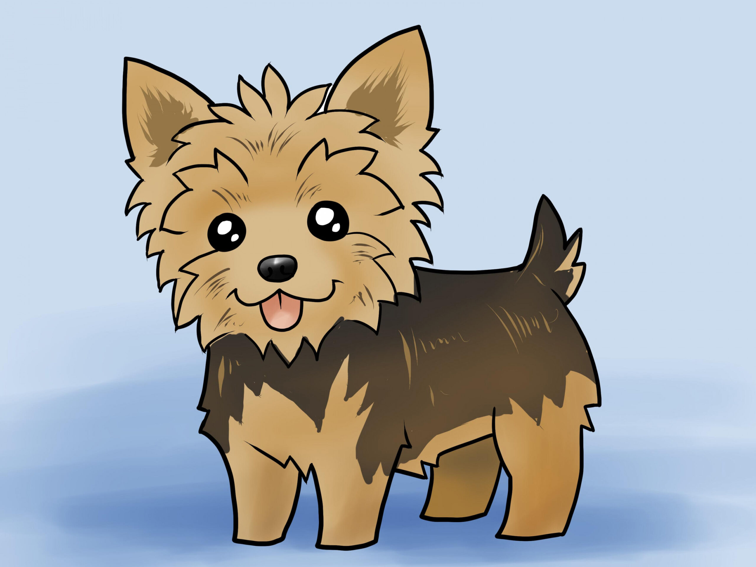 How to Draw a Yorkie (with Pictures) - wikiHow