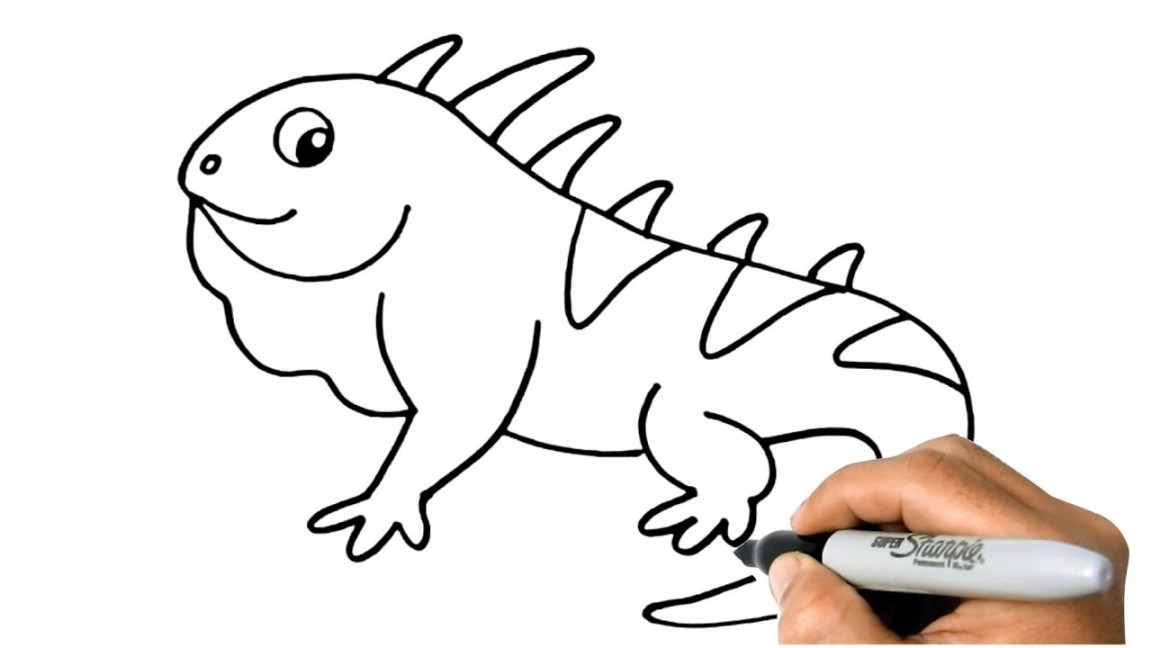 How to DRAW an IGUANA Easy Step by Step Drawing Animals