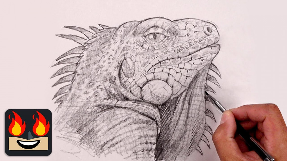 How To Draw an Iguana  Sketch Tutorial