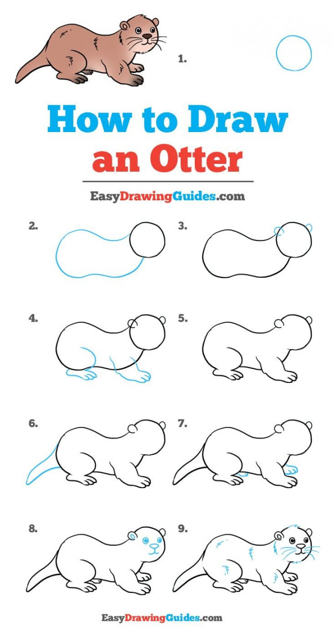 How to Draw an Otter - Really Easy Drawing Tutorial  Drawing