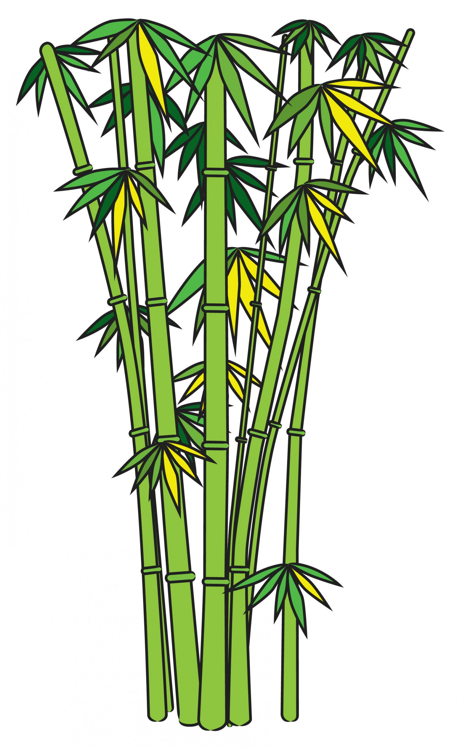 How to Draw Bamboo:  Steps (with Pictures) - wikiHow  Tree