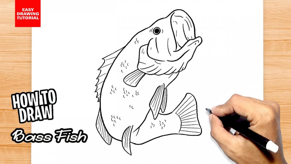 How to draw Bass Fish