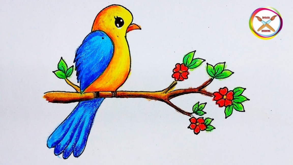 How To Draw Beautiful Bird  Bird Drawing In Easy Way  Draw for Beginners