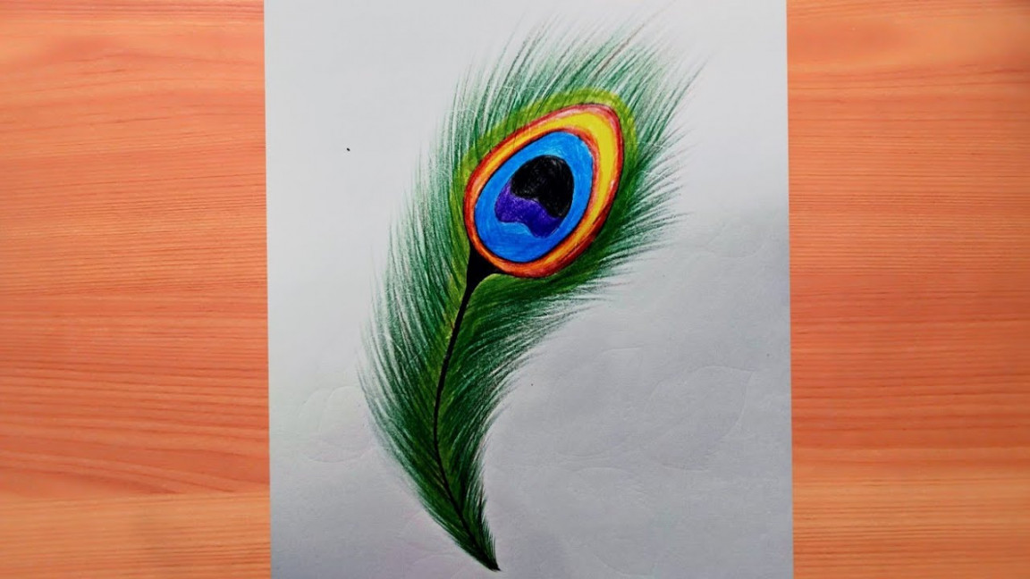 How to draw beautiful peacock feathers with color pencil  Muskan drawing  & art