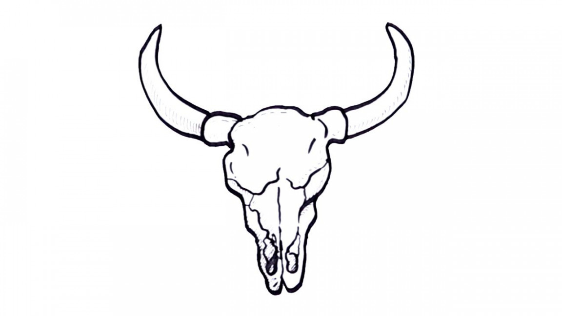 How to draw bull skull easy.