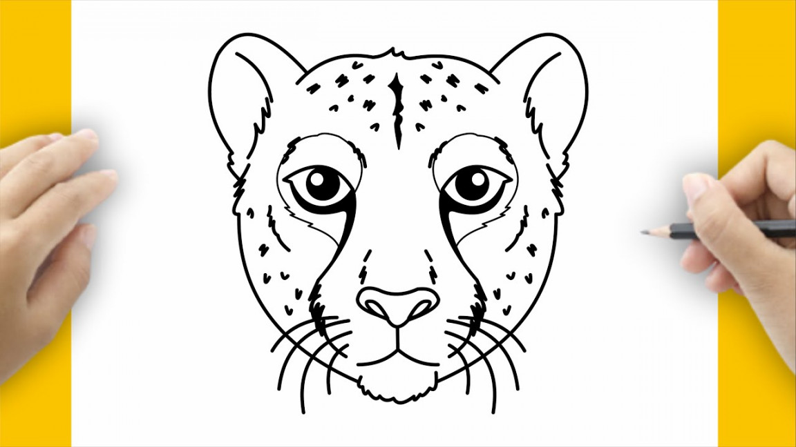 HOW TO DRAW CHEETAH FACE and HEAD  LEOPARD DRAWING FACE