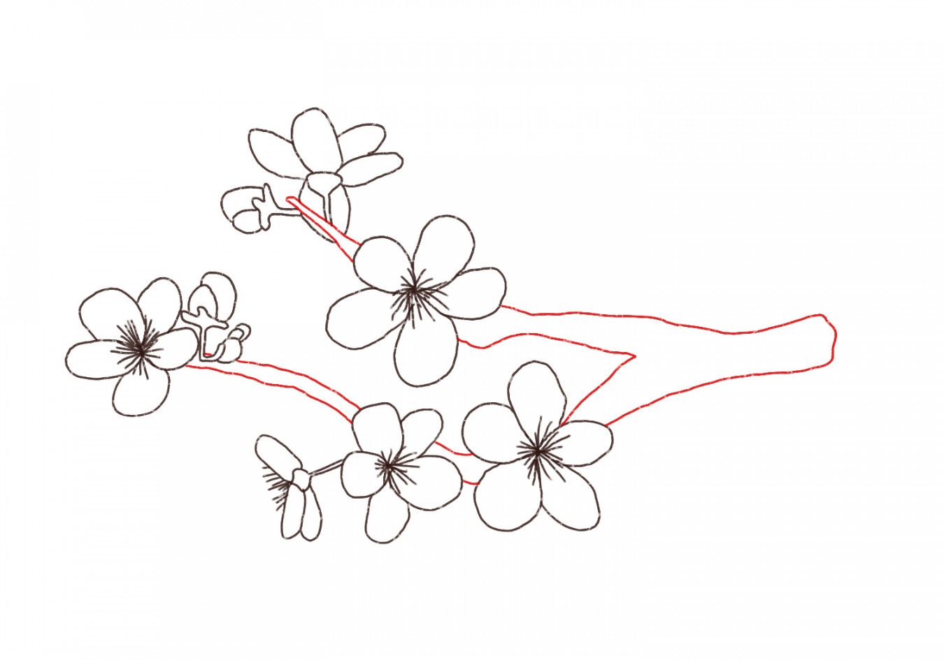 How to Draw Cherry Blossoms  Design School