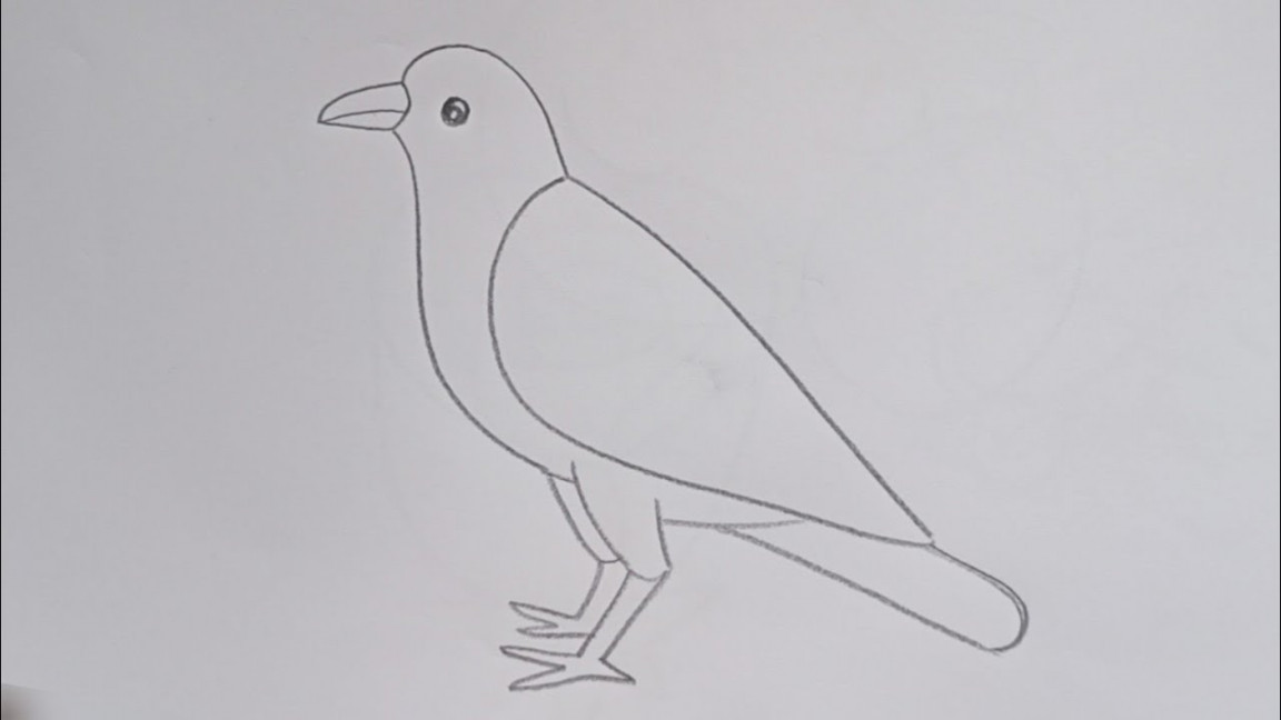 how to draw crow drawing easy step by step@DrawingTalent