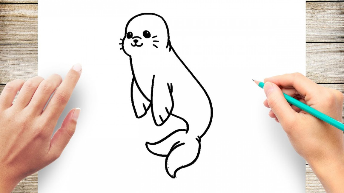 How to Draw Cute Sea Lion Easy