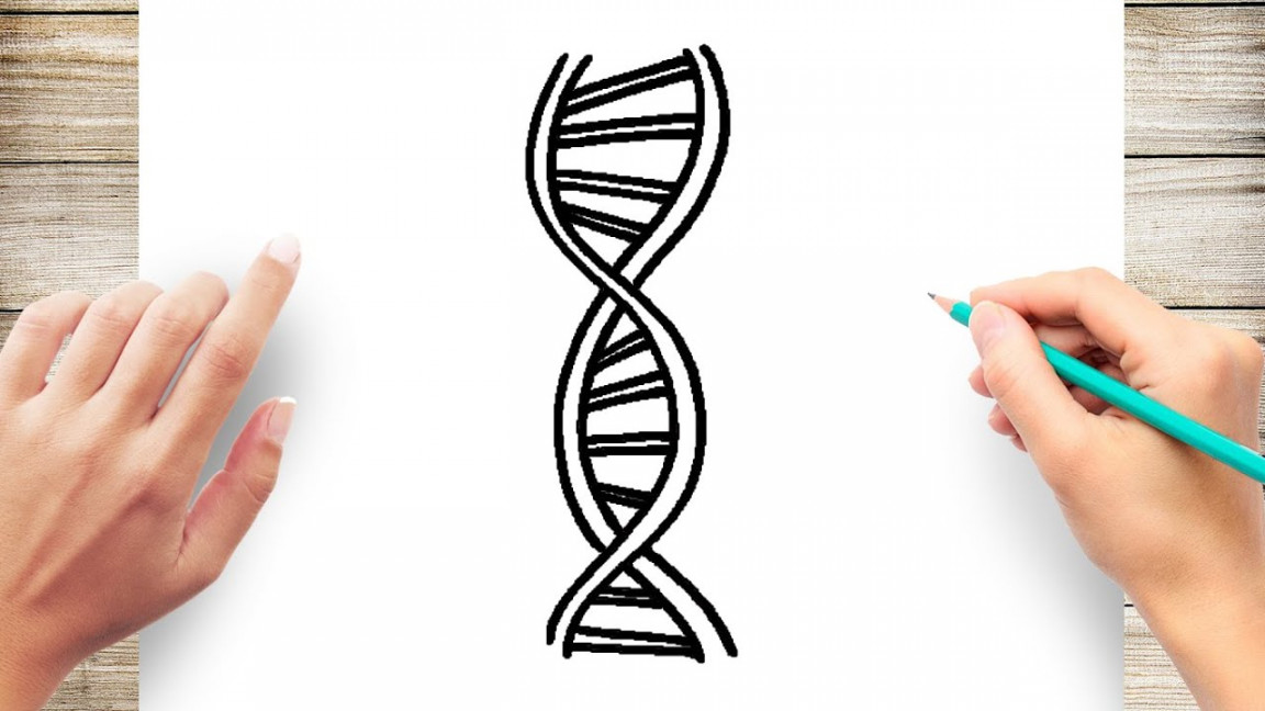 How to Draw DNA