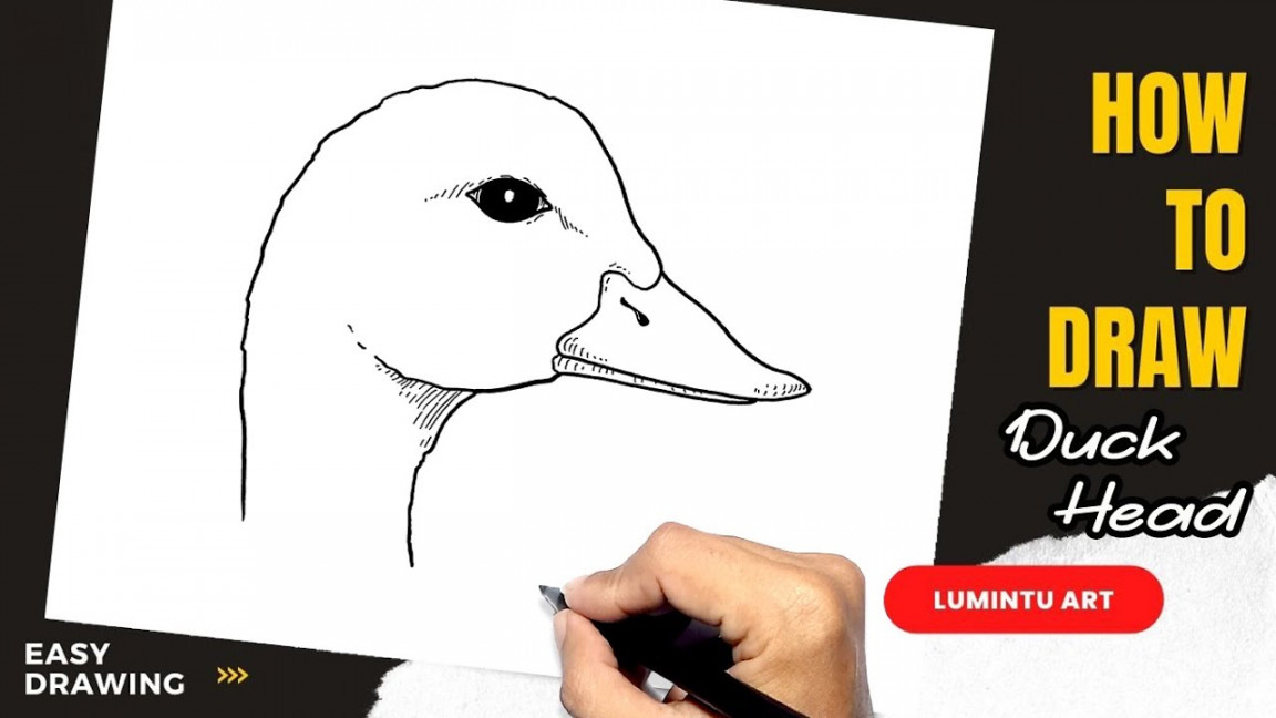 How to draw Duck Head