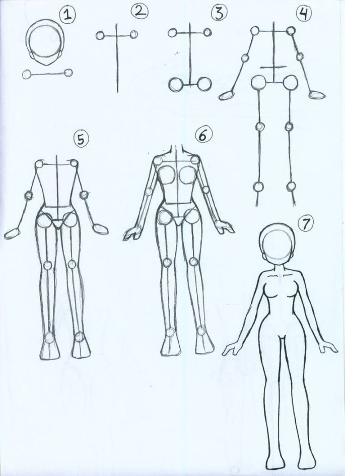 How to draw Female Anime Body by ariSemutz on DeviantArt  Drawing