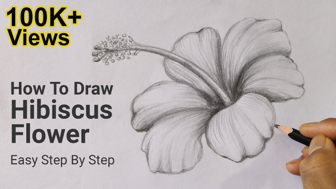 How To Draw Hibiscus Flower Easy Step By Step  Drawing Lesson   Pencil  Sketch