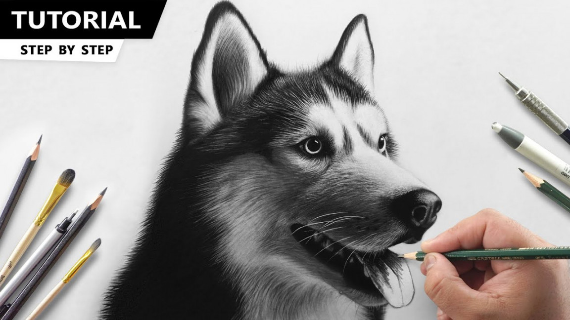 How to Draw Husky Dog  Tutorial for BEGINNERS