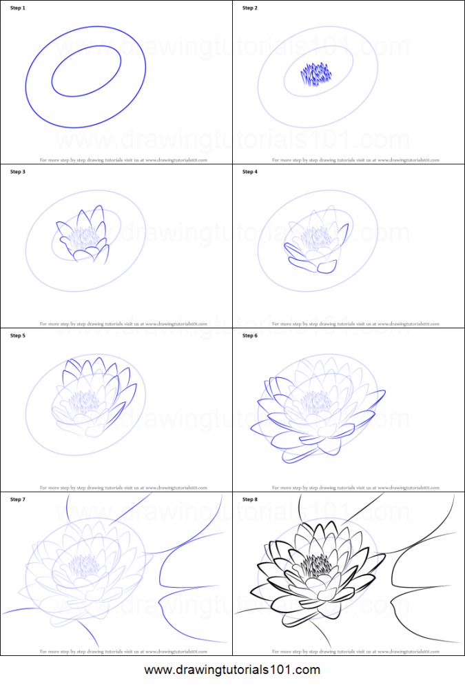 How to Draw Lily Pad Printable Drawing Sheet by