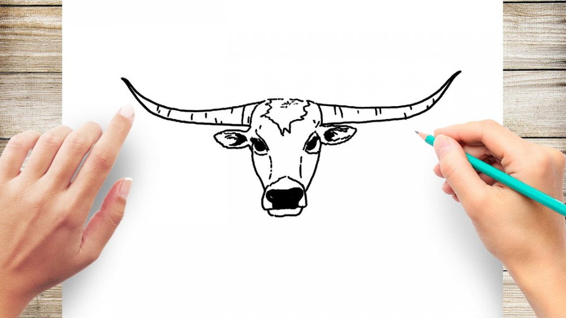 How to Draw Longhorn Cow Head