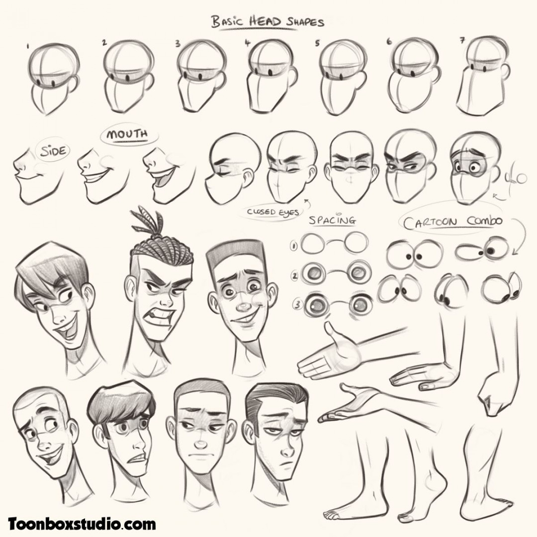 How to Draw Male Characters  ToonBoxStudio