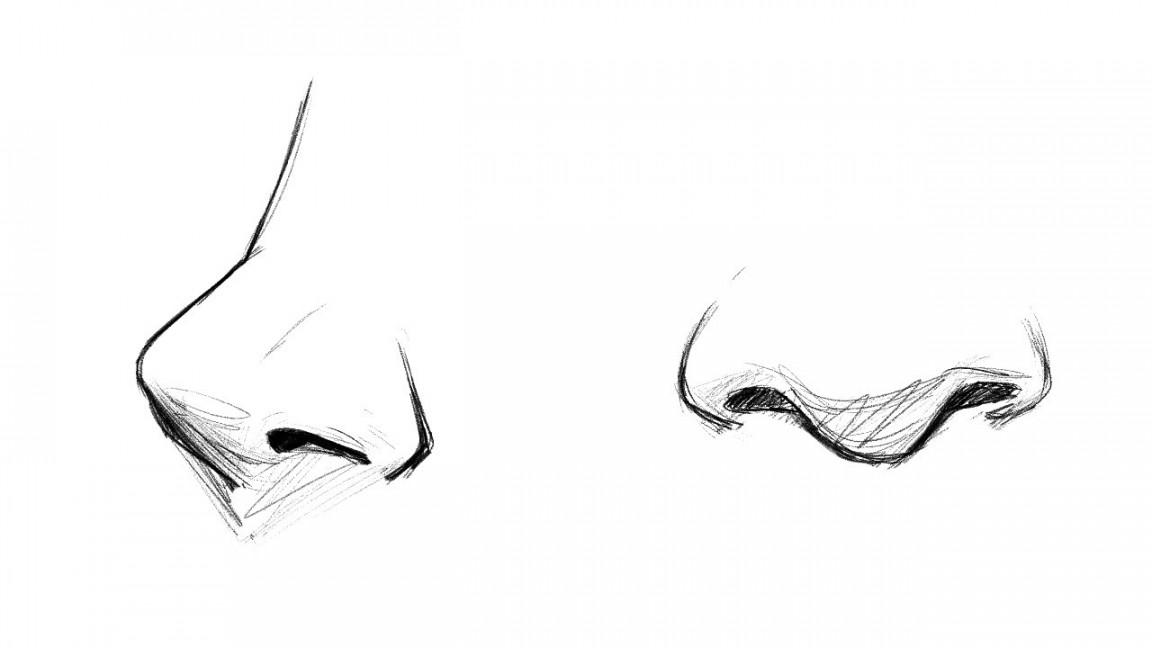 How to draw noses (for beginners)