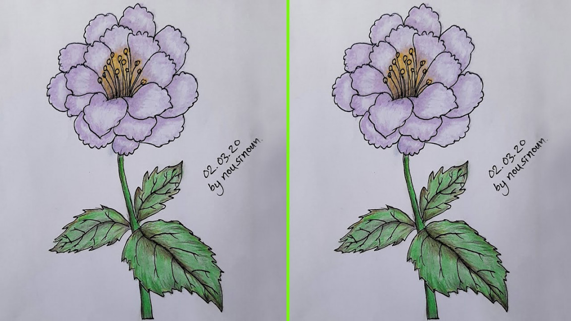 How to Draw Purple Flower with Color pencil