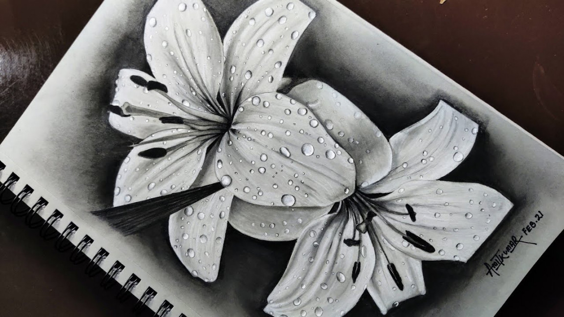 How to draw Realistic Lily flower with white charcoal on grey paper   water drop  Flower drawing