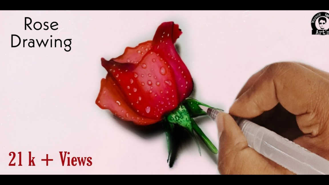 How To Draw Rose - D Rose Speed Drawing