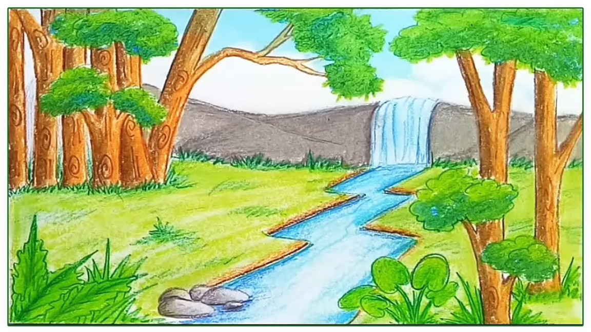 How to draw scenery of rainforest step by step