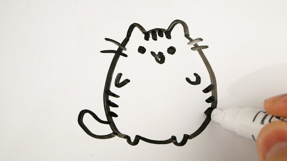 How to Draw Simple Cute Cat Easy  Drawing Animals on a Whiteboard