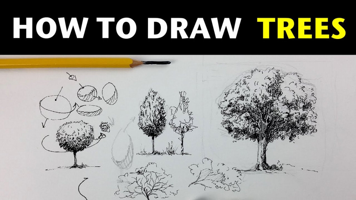 How to Draw Trees with Pen & Ink