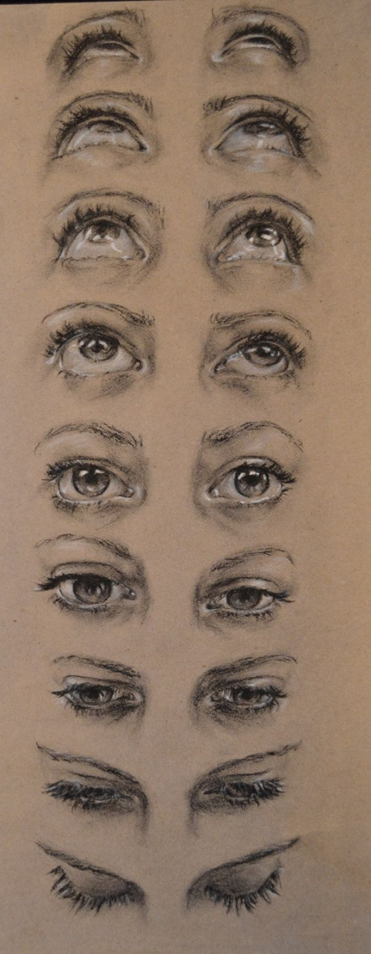 Human anatomy studies references - Eyes  Eye drawing, Sketches