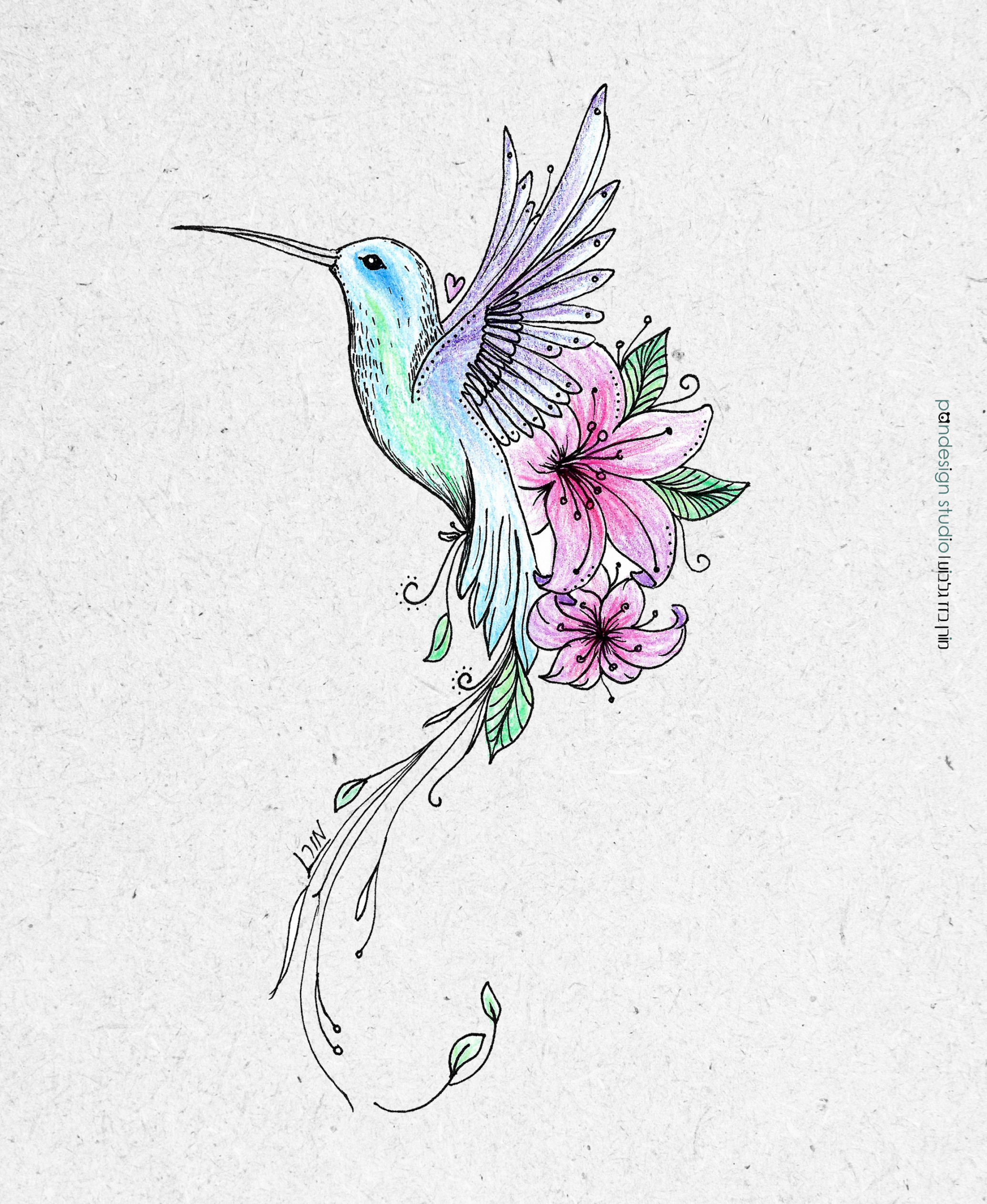 Hummingbird Draw :: Behance