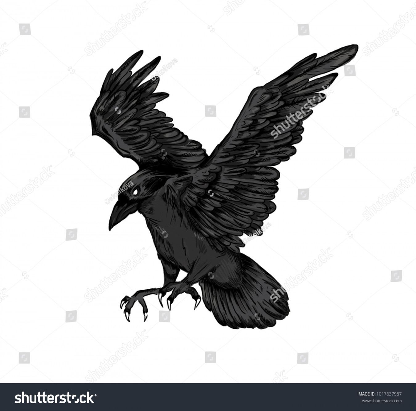 Illutration Black Bird Raven Gothic Style Stock Illustration