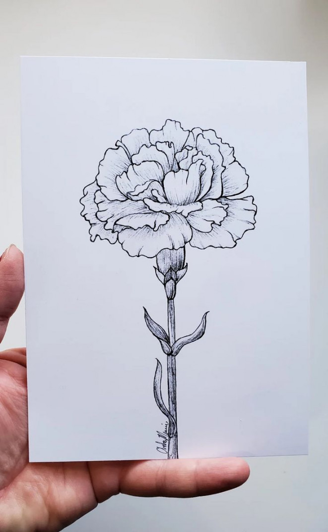 Inked Carnation Print, January Birth Flower - Etsy  Flower