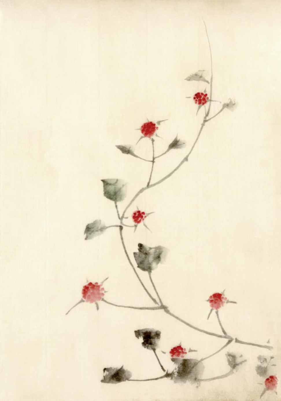 Japanese Art, Hokusai Flower Drawings, Red Blossoms on a Vine FINE