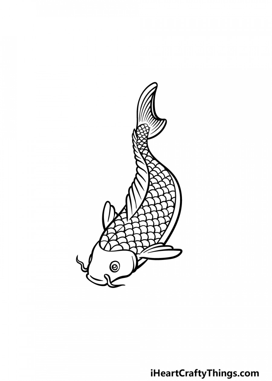 Japanese Koi Fish Drawing - How To Draw Japanese Koi Fish Step By Step