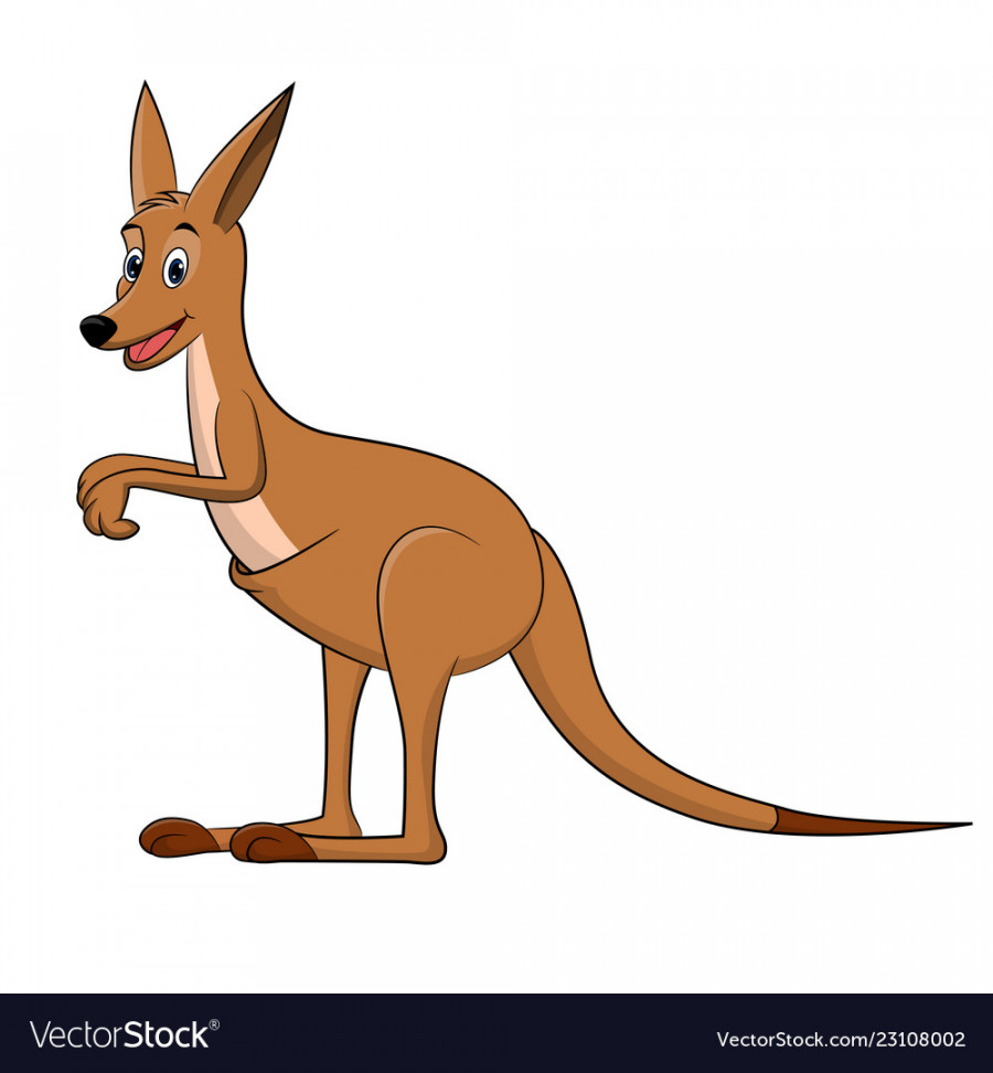 Kangaroo cartoon drawing Royalty Free Vector Image