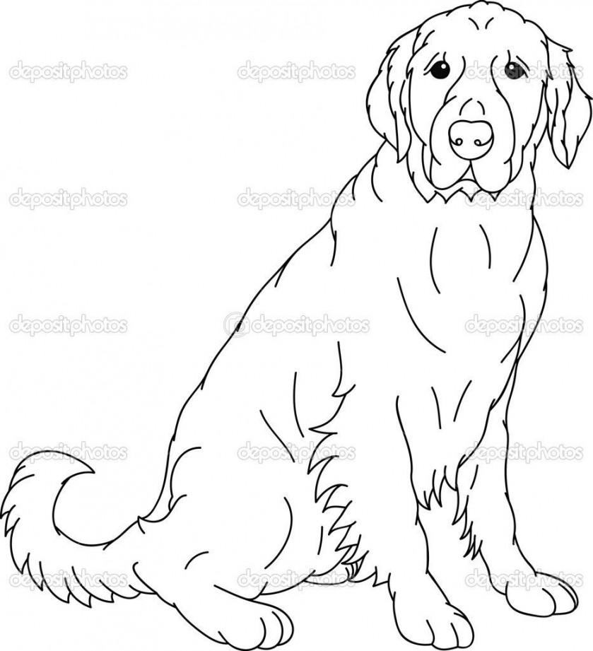 Labrador Retriever Outline Drawings  Outline drawings, Silhouette