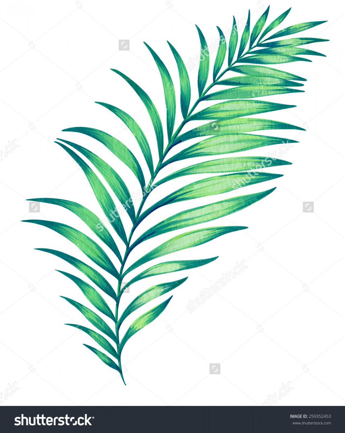 Large illustrated palm leaf