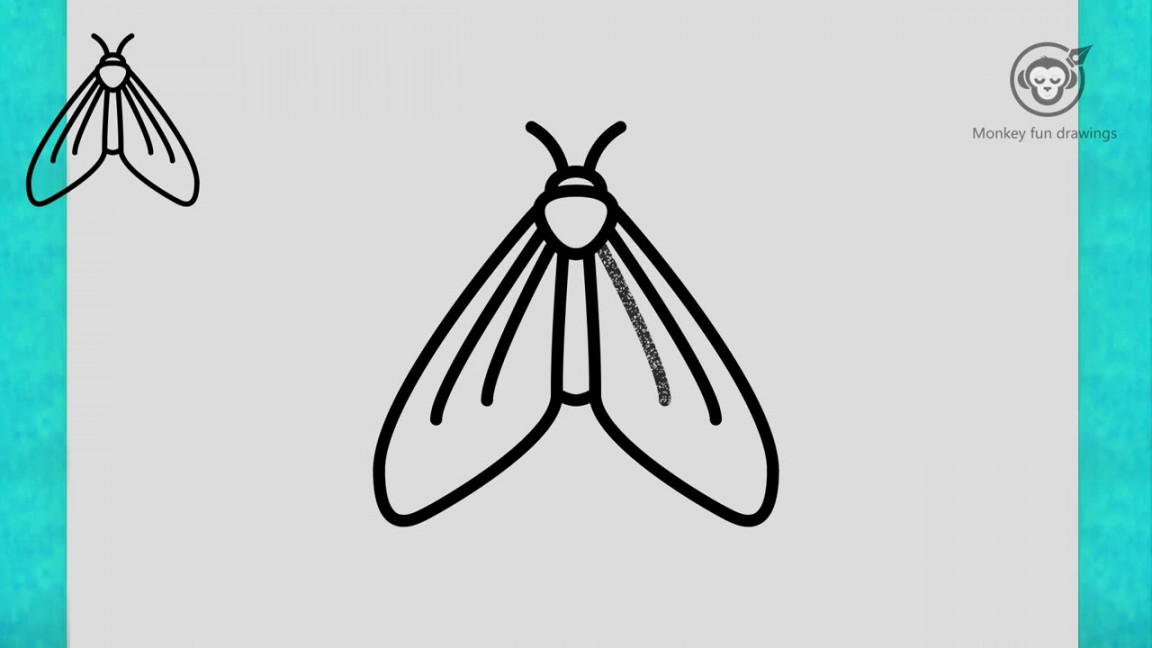 Learn How to draw moth easy for beginners easy drawing cute moth Step by  step moth drawing tutorial