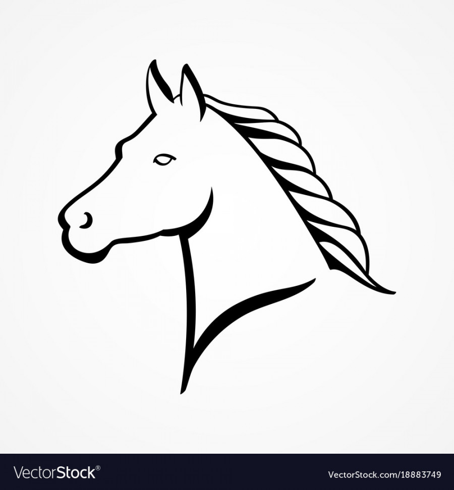 Line art of a horse head Royalty Free Vector Image