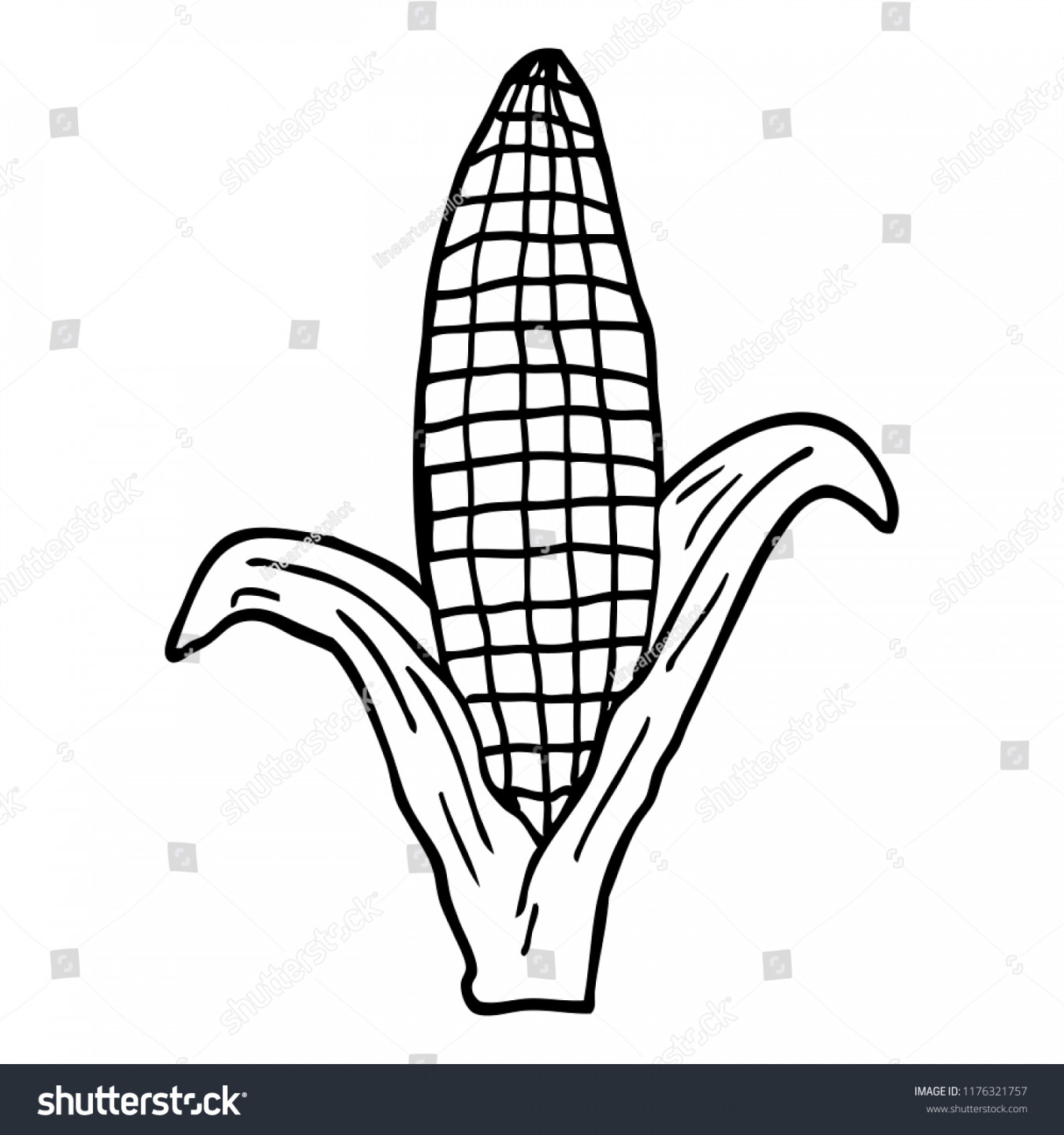 Line Drawing Cartoon Corn On Cob Stock Vector (Royalty Free