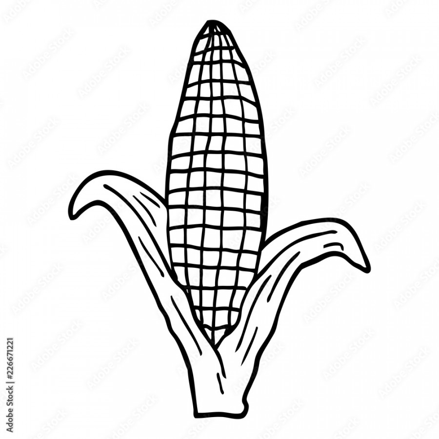 line drawing cartoon healthy corn Stock Vector  Adobe Stock