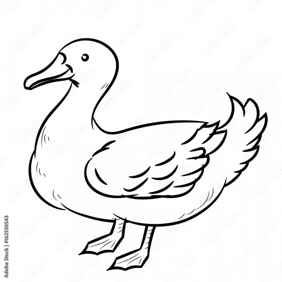 Line Drawing of Duck -Simple line Vector Stock-Vektorgrafik