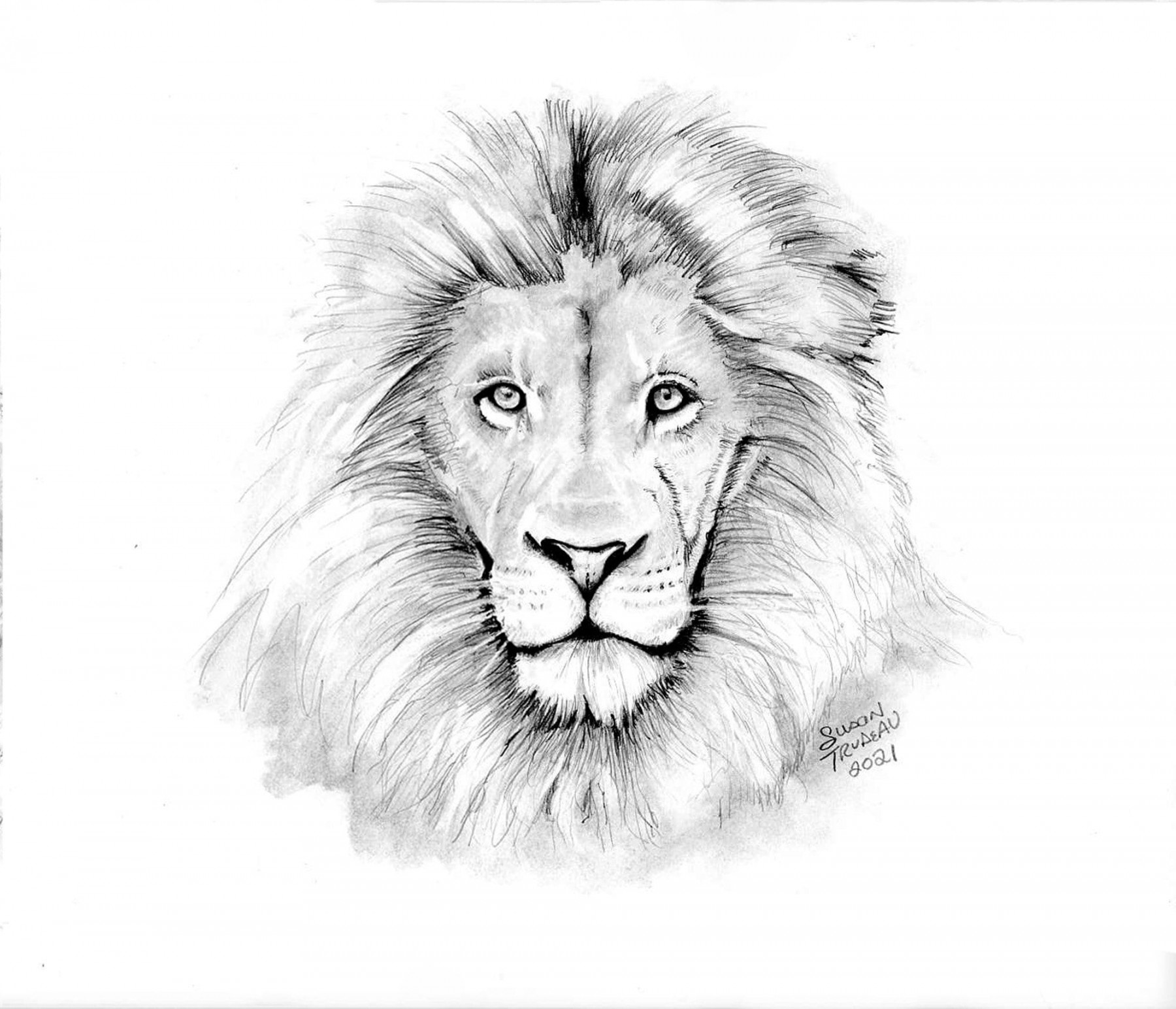 Lion Realistic Drawing-Lion King-Graphite Pencil-Realistic Animal  Sketch-Original Art-Pencil Black and White Drawing-Animal