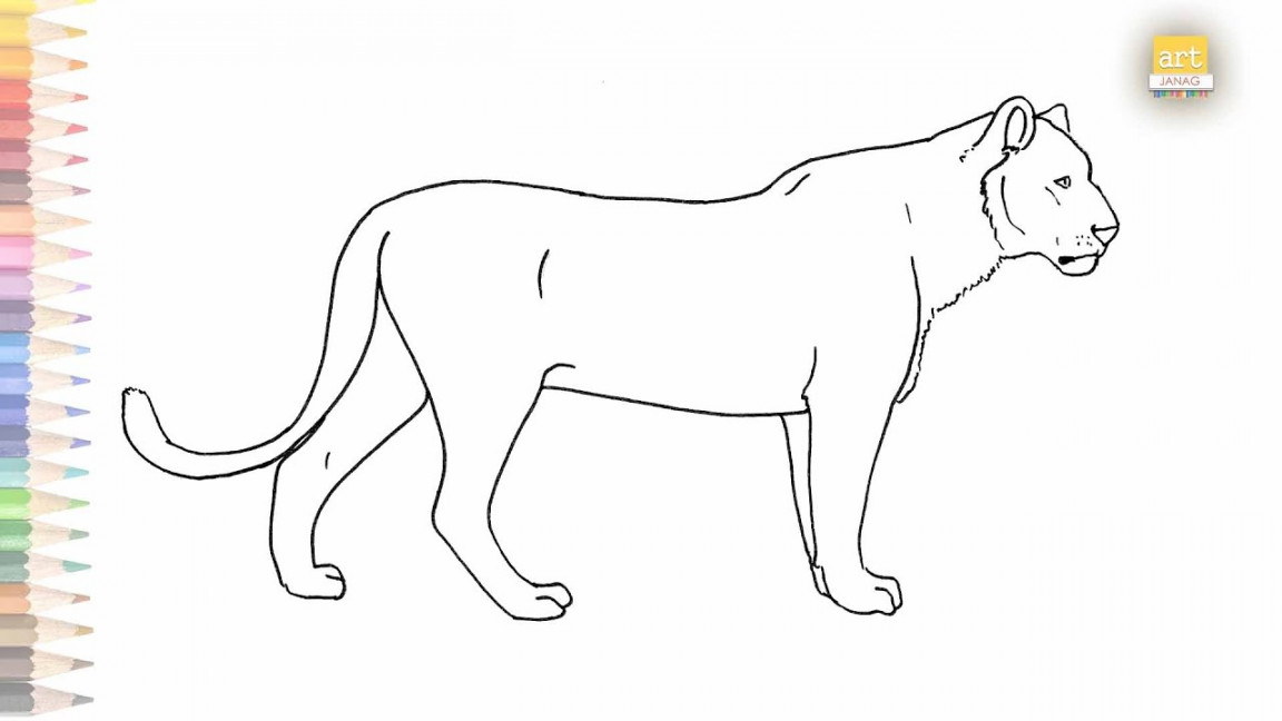 Lioness outline drawing easy   How to draw A Lioness step by step   Outlinedrawings  Art JanaG