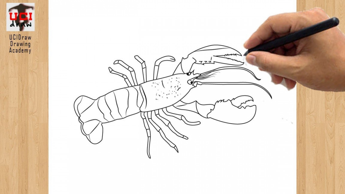 Lobster Drawing Easy  How to Draw a Lobster Outline  Step by Step Cute  Sketch