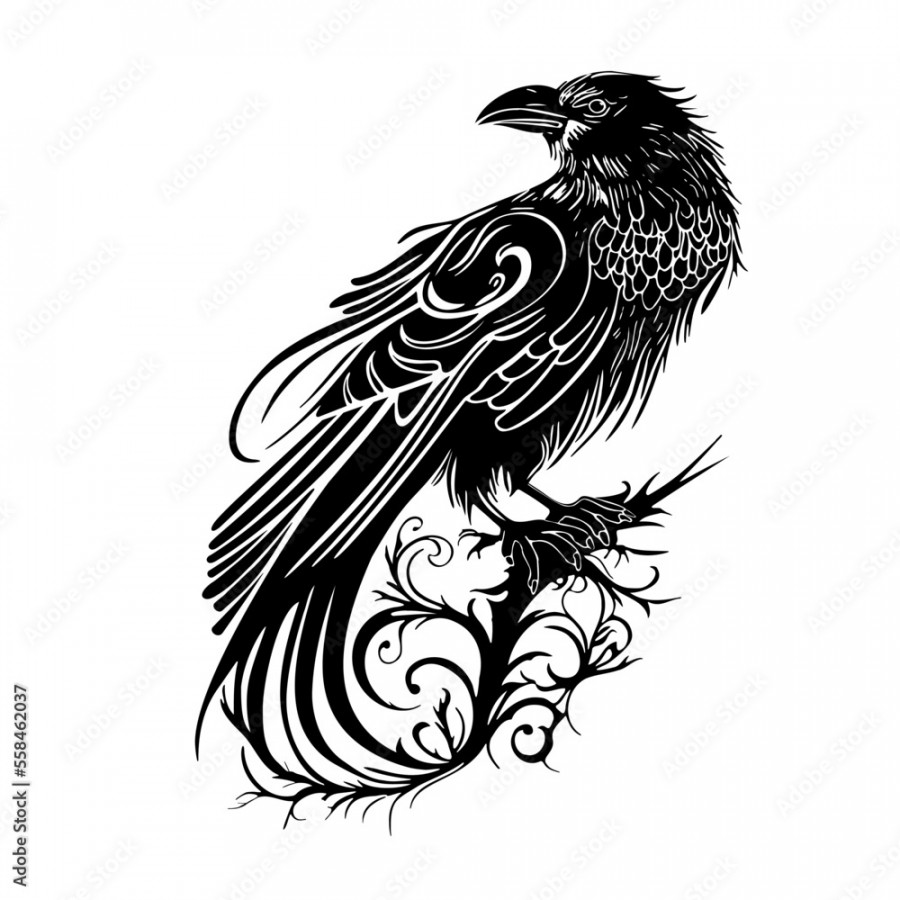 Long tail gothic Raven, hand drawn, low points, one color